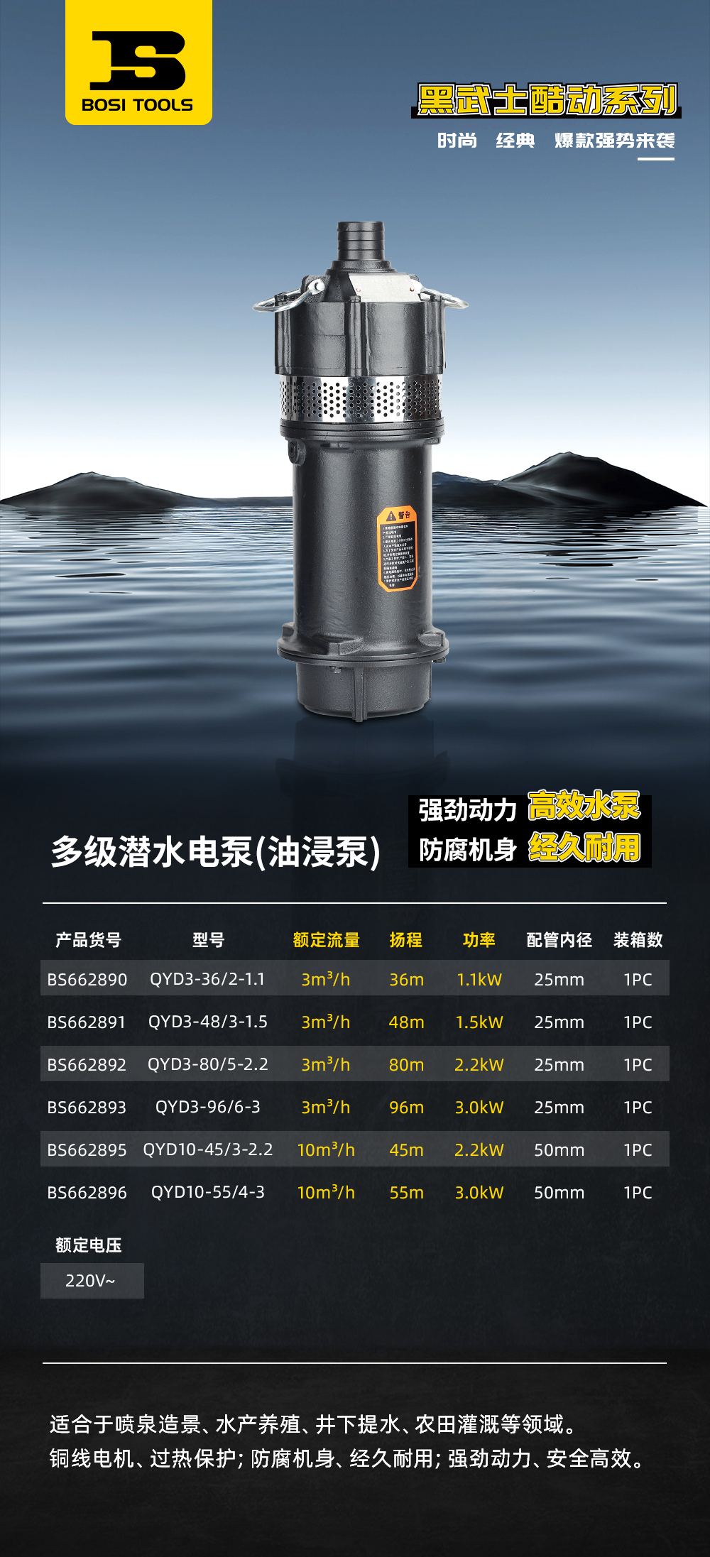 BS662890多级潜水电泵.jpg