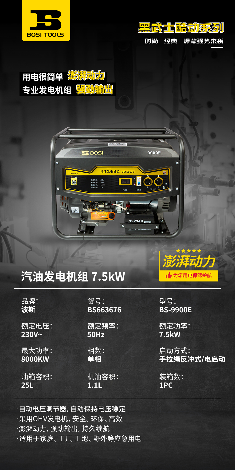 BS663676汽油发电机组1.jpg